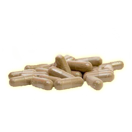 ✭ Agar-Agar Pack Gélules 1Kg - Gélule végétale 375mg ✭