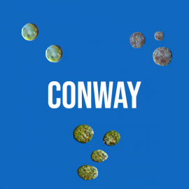 Milieu Conway