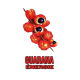 ✭ Guarana - Complément alimentaire - 100% naturel ✭