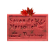 ✭ Savon de Marseille vigne rouge 125g - Exfoliant doux gommage de la peau ✭ 