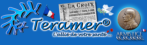 Bannière Teramer - 11 novembre 1918 - 2013