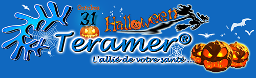 Bannière Teramer - Halloween 2013