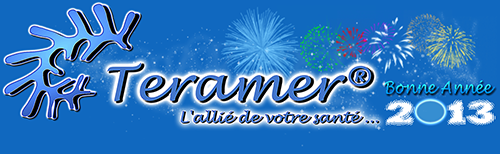 Teramer Janvier 2013 Bonne Annee