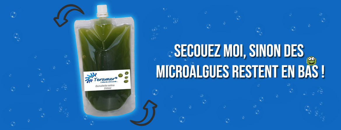 Secouez les microalgues